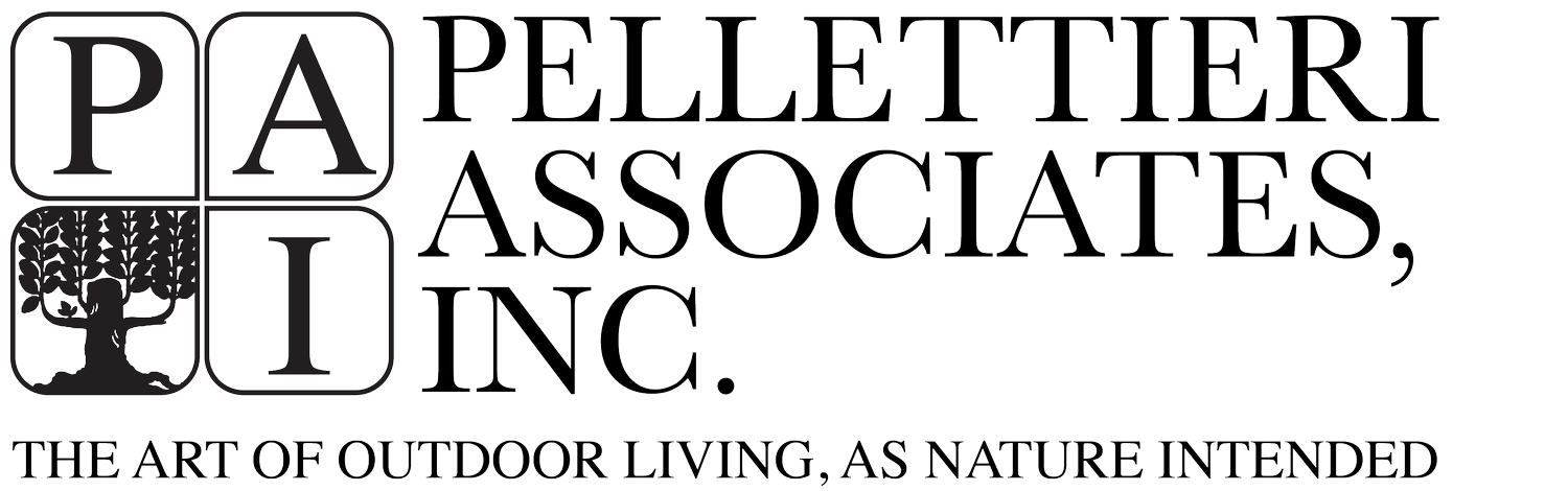 Pellettieri Associates Logo