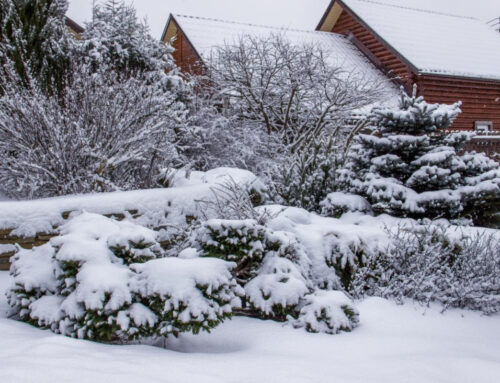 President’s Notes December 2025