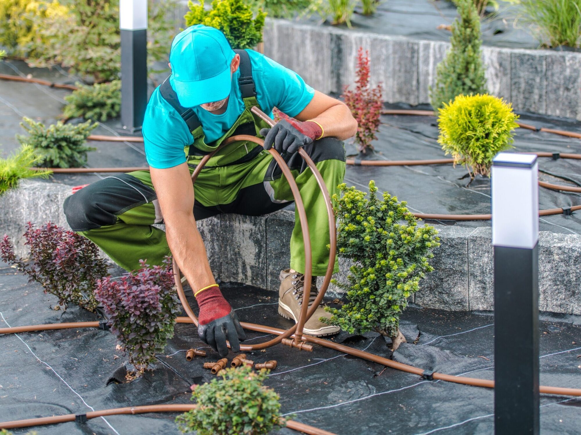 Professional,Caucasian,Landscaper,Building,Drip,Irrigation,System,In,A,Garden.