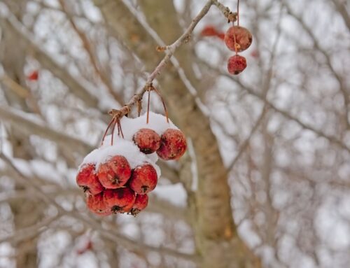 Kicking Off 2026 With Purpose