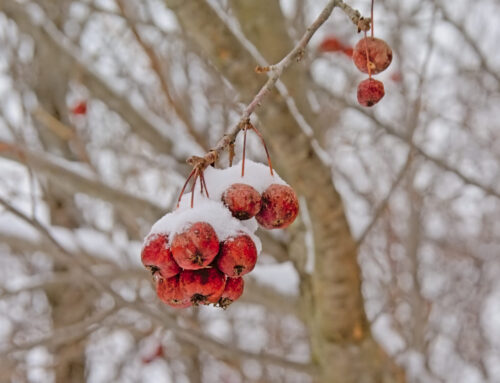 Kicking Off 2026 With Purpose