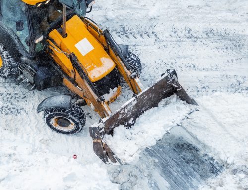 President’s Notes February 2026