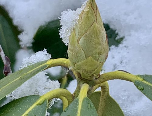 Yes, You Can Become Dehydrated in Winter