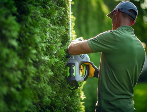 Congratulations to these NHCLPs